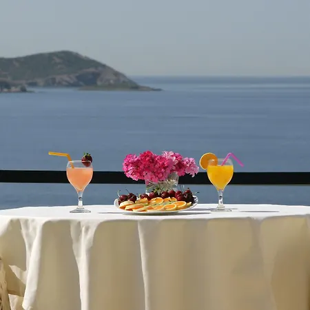 Andros Hotel 3*