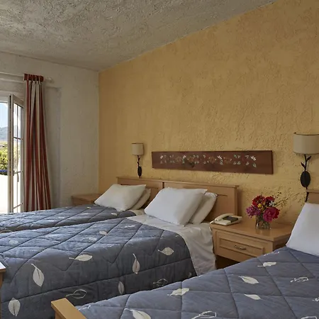 Hotel Andros 3*