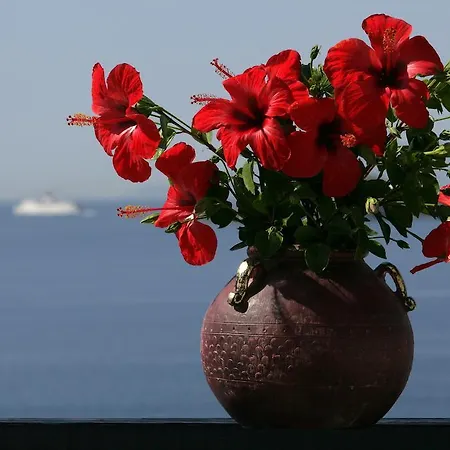 Andros Γαύριο
