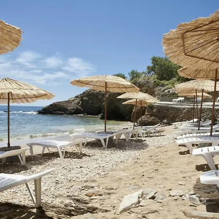 Andros Hotel 3*