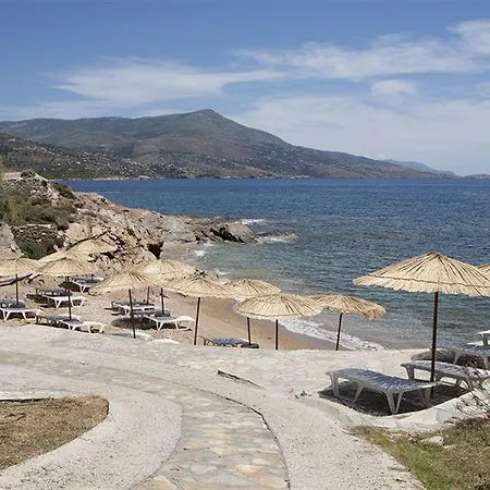 Ξενοδοχείο Andros *