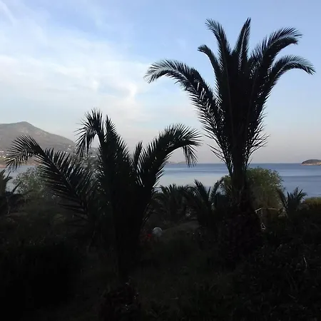 Andros Ξενοδοχείο 3*