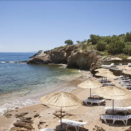 Ξενοδοχείο Andros *