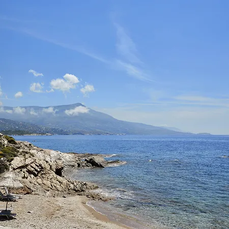 Andros Ξενοδοχείο Γαύριο