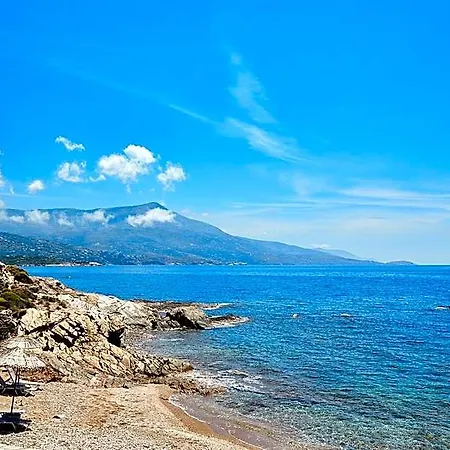Ξενοδοχείο Andros