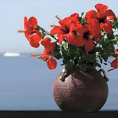 Hotel Andros Gavrio