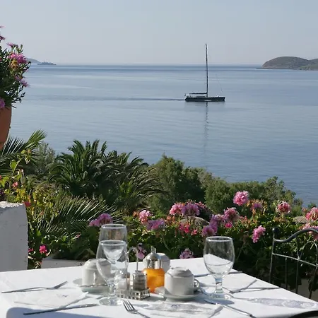 Ξενοδοχείο Andros 3*