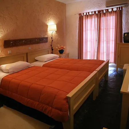 Hotel Andros *