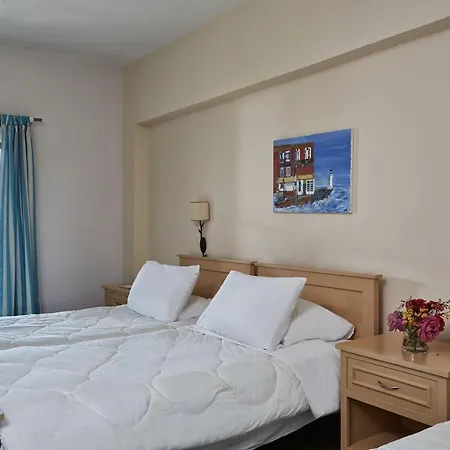 Hotel Andros 3*